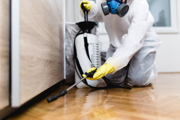 Best Mosquito Control Services  in Plainfield, IL