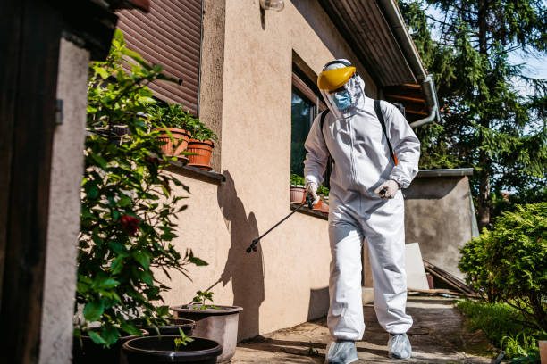 Best Bed Bug Extermination  in Plainfield, IL