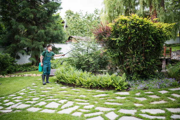 Best Residential Pest Control  in Plainfield, IL