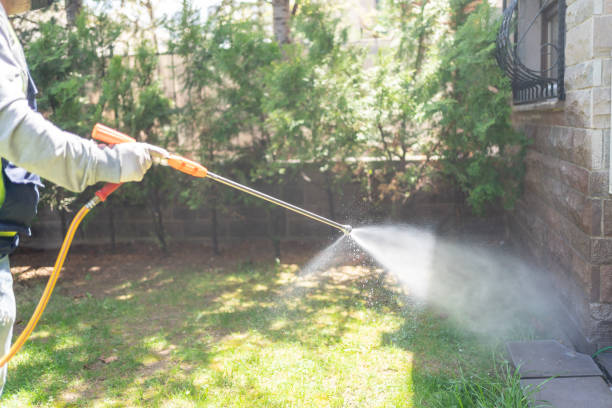 Best Pest Removal Services  in Plainfield, IL