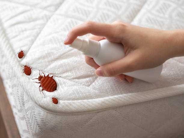 Best Emergency Pest Control  in Plainfield, IL