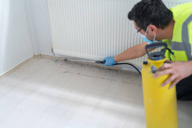 Best Pest Control Cost  in Plainfield, IL