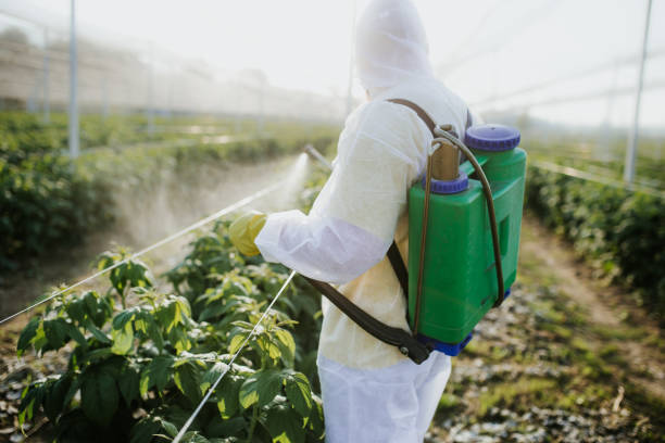 Best Flea Control Services  in Plainfield, IL